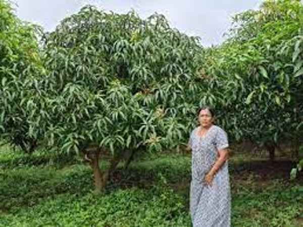 पारंपारिक कृषी कुटुंबात जन्म